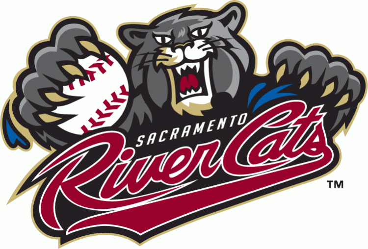 sacramento river cats 2007-pres priamry logo iron on transfers for T-shirts